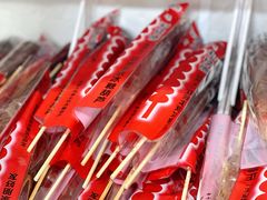 冰冻山楂冰糖葫芦-和禄德冰糖葫芦