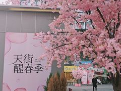 -首开·龙湖成都西宸天街