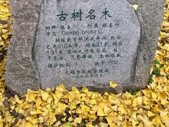 -无锡惠山寺