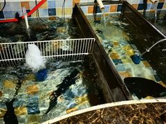 -缘福乡村铁锅炖民宿(八达岭店)