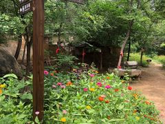 -黄金寨原生态旅游区