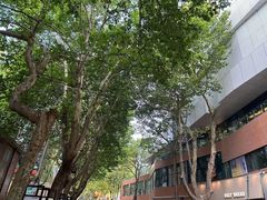 -西安电影制片厂