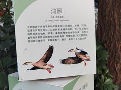 -广州市帽峰山景区