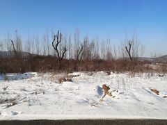 -鳌山滑雪度假区