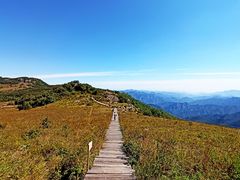 -白草畔自然风景区