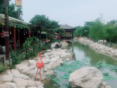 -茯茶镇