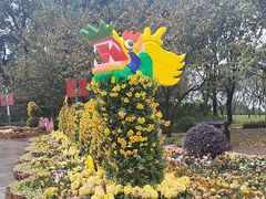 -南山植物园