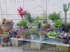 -阿南海鲜