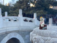 -白云观