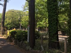-井之头恩赐公园