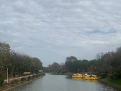 -上海海湾国家森林公园