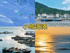-舌尖上·霞浦滩涂海鲜(总店)