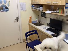 -芭比堂动物医院广州顽皮分院