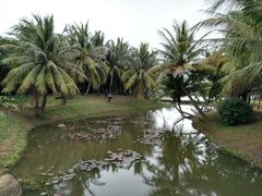 -白沙门生态公园