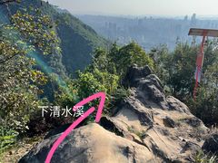 -南山植物园