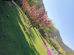 -棒棰岛宾馆景区