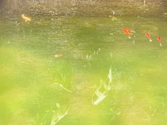 -瑞丰园庭院餐厅·白族传统家常菜
