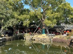 -上海醉白池公园