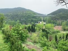 -棒棰岛宾馆景区