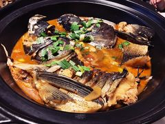 千岛湖有机鱼头-千岛湖小鱼儿·淳安匠心农家菜