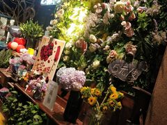 -杂咖zacup(领展中心城店)