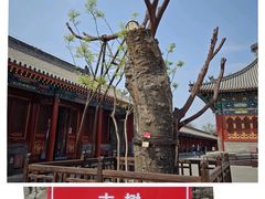 -妙应寺白塔