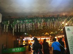 -呀诺达热带雨林
