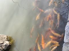 -观唐（国际）度假村温泉