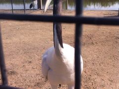 -盐城丹顶鹤湿地生态旅游区