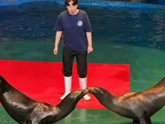 -烟台海昌鲸鲨海洋公园