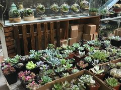 -双季花艺园艺市场(浦东店)