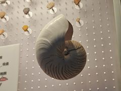 -深海中餐厅(国家海洋博物馆店)