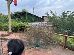 -长鹿旅游休博园