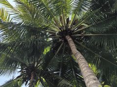 -海南清水湾莱佛士酒店