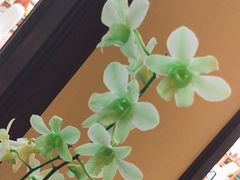 -芭堤雅度假村洲际酒店 - IHG 旗下酒店