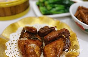 Shengfeng Baby Pigeon Royal