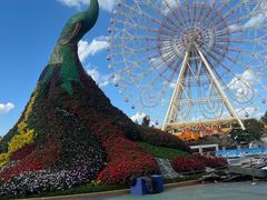 -七彩云南欢乐世界