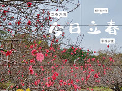 -广东花都湖国家湿地公园