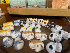 -猫咪博物馆(顶澳仔猫街店)