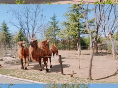 -济南野生动物世界