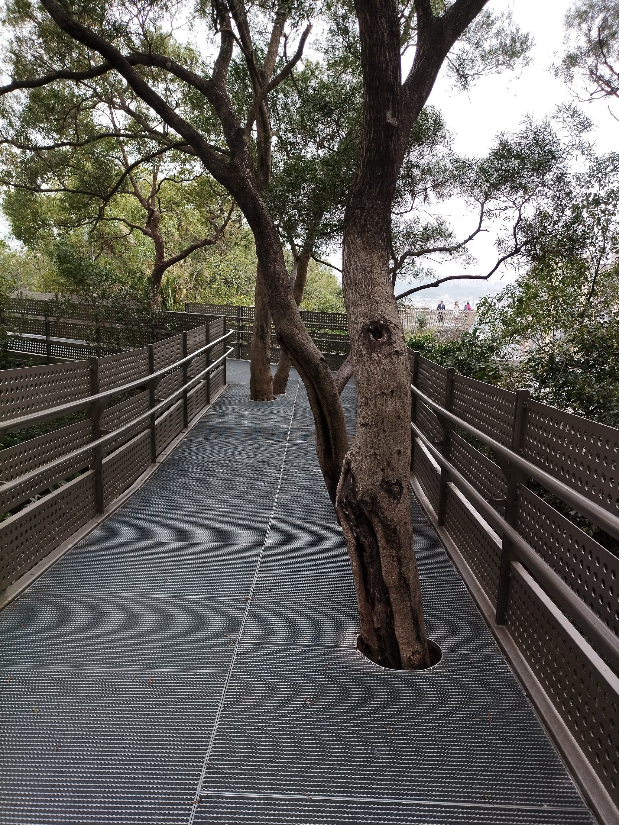 福州 福道 天地灵气的所在