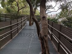 -福道