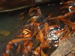 -鱼满舱·鲜活海鲜·正宗鲁菜