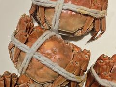 -杨氏青龙虾·吃蟹季(金盛路总店)
