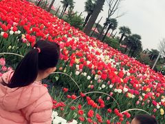 -大宁灵石公园西门票处