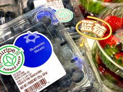 -胡麻地果研所(兰州中心BM店)