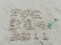 -贝壳梦幻世界