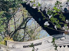 -龙华寺