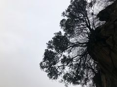 -少华山国家森林公园