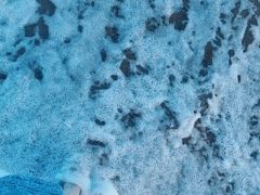 -小巴塞罗那海滩